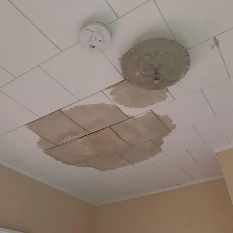 Ceiling Water Damage Repair in Brookline, NH