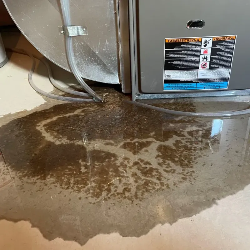 Pipe Burst and Leak Restoration in Brookline, NH